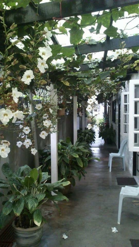 Hillview Inn คาเมรอนไฮแลนด์ ภายนอก รูปภาพ