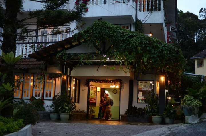 Hillview Inn คาเมรอนไฮแลนด์ ภายนอก รูปภาพ