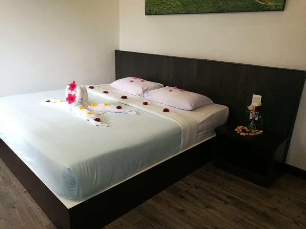 Hillview Inn คาเมรอนไฮแลนด์ ภายนอก รูปภาพ